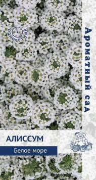 Алиссум Белое море (поиск) 0,3 гр Алиссум Белое море (поиск) 0,3 гр