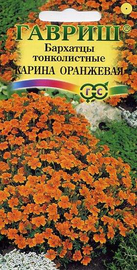 Бархатцы тонколистные Карина Оранжевая (гавриш) 0,05 гр