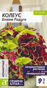 Колеус Блюме радуга (семена Алтая) 0,01гр