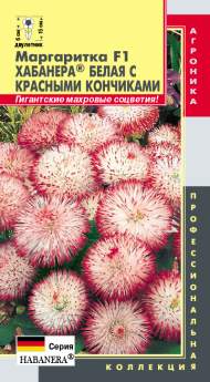 Маргаритка Хабанера белая с красными кончиками F1 (плазмас) 5шт Маргаритка Хабанера белая с красными кончиками F1 (плазмас) 5шт