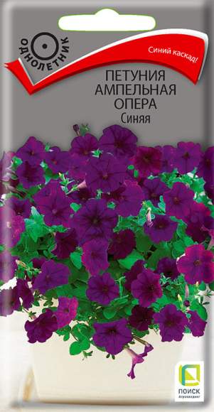 Петуния ампельная Опера синяя (поиск) 5шт 