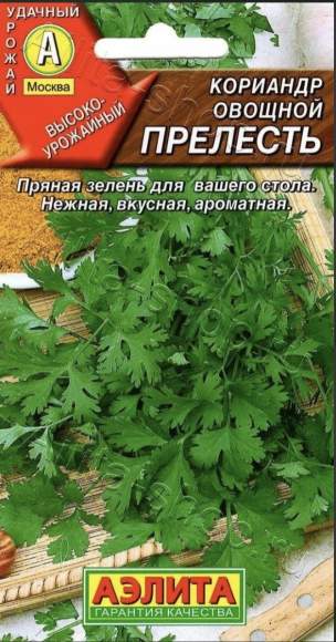 Кориандр (кинза) Прелесть (аэлита) 3,0 гр – купить в г. Москва Кориандр (кинза) Прелесть (аэлита) 3,0 гр – купить в г. Москва