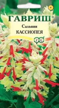 Сальвия Кассиопея (г) 4шт Сальвия Кассиопея (г) 4шт