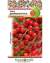 Томат Дюймовочка (нк) 0,05 гр  – купить в г. Москва