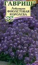 Лобулярия Фиолетовая королева (г) 0,05гр