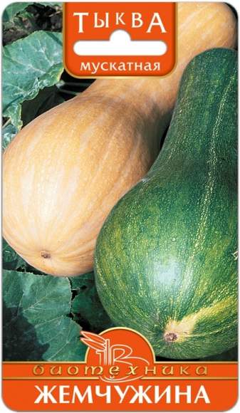 Тыква Мускатная Жемчужина (биотехника) 6 шт  – купить в г. Москва