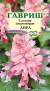 Сальвия Лира (г) 4шт  – купить в г. Москва