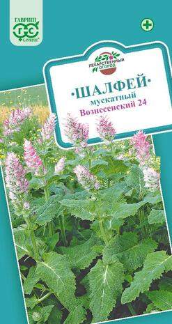 Шалфей мускатный Вознесенский 24 (гавриш) 0,3 гр  – купить в г. Москва