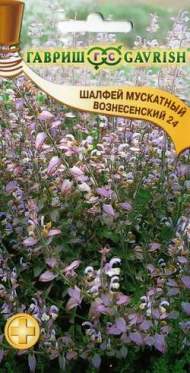 Шалфей мускатный Вознесенский 24 (гавриш) 0,3 гр Шалфей мускатный Вознесенский 24 (гавриш) 0,3 гр