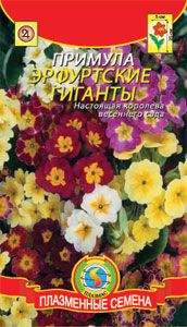Примула Эрфуртские гиганты (п) 30шт 