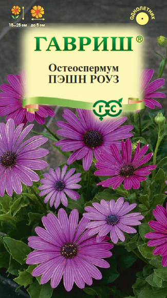 Остеоспермум Пэшн Роуз (гавриш) 3шт 