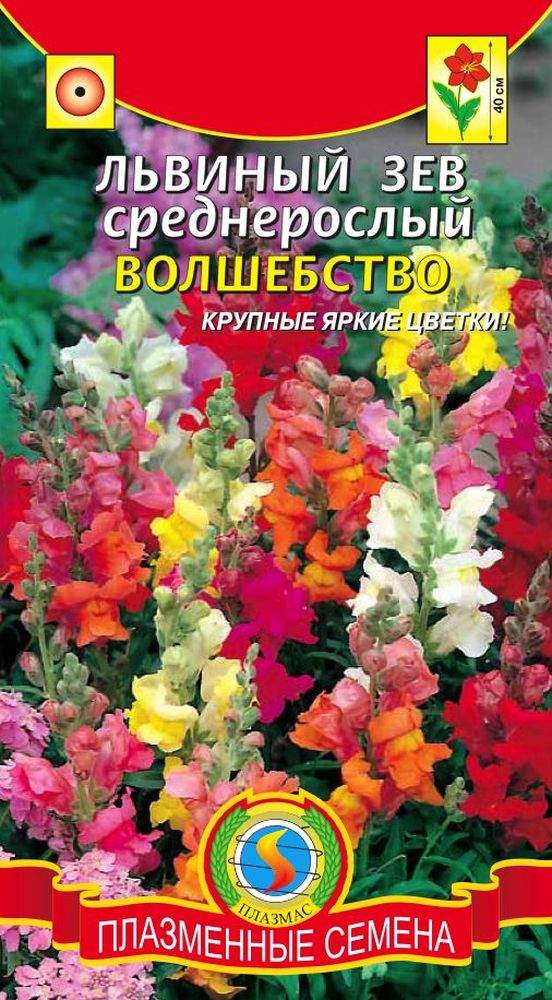 Семена львиный зев фото. Антирринум львиный зев. Семена Антирринум львиный зев смесь 0,1г. Львиный зев Аппельблоссом. Львиный зев орхидейный.