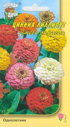 Цинния Лилипут смесь (урожай удачи( 0,3 гр – купить в г. Москва Цинния Лилипут смесь (урожай удачи( 0,3 гр – купить в г. Москва