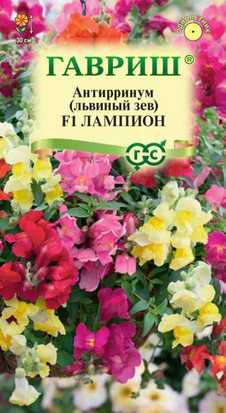 Антирринум (львиный зев) Лампион F1 ампельный (гавриш) 5шт  – купить в г. Москва