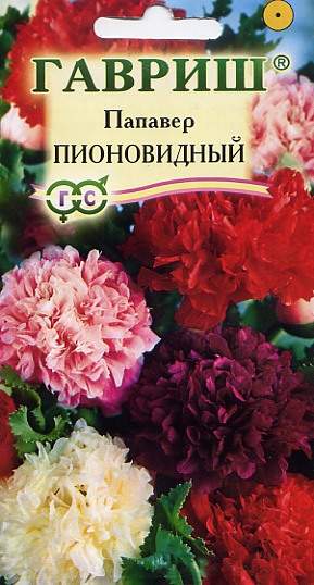 Мак пионовидный Папавер 