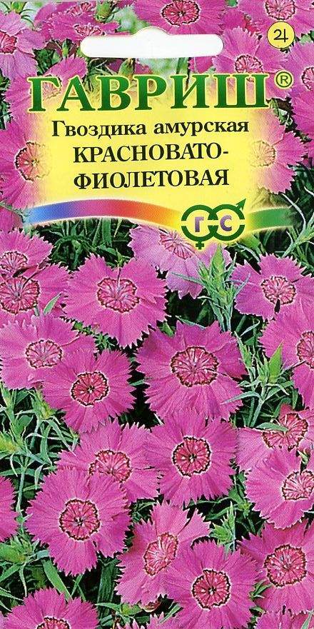Купить Семена Гвоздики Лилипот