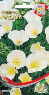 Эшшольция Мадлен (дс) 65 шт 