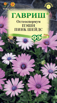 Остеоспермум Пинк Шейдс (гавриш) 3шт Остеоспермум Пинк Шейдс (гавриш) 3шт