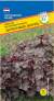 Гейхера Пурпурный дворец (престиж) 5 шт  – купить в г. Москва
