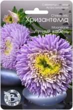 Хризантелла Лунный камень (б) 30шт