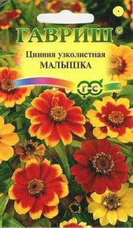 Цинния Малышка (гавриш) 0,3гр Цинния Малышка (гавриш) 0,3гр