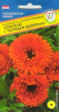 Календула Красная с черным центром (престиж) 0,3 гр Календула Красная с черным центром (престиж) 0,3 гр
