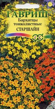 Бархатцы тонколистные Старшайн (гавриш) 0,05 гр Бархатцы тонколистные Старшайн (гавриш) 0,05 гр