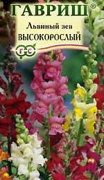 Антирринум (львиный зев) Высокорослый смесь (гавриш) 0,05гр Антирринум (львиный зев) Высокорослый смесь (гавриш) 0,05гр