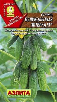 Огурец Великолепная пятерка F1 (аэлита) 10 шт Огурец Великолепная пятерка F1 (аэлита) 10 шт