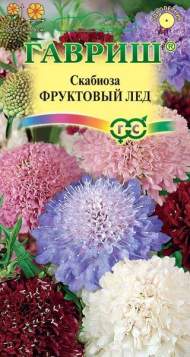 Скабиоза Фруктовый лед (гавриш) 0,2гр Скабиоза Фруктовый лед (гавриш) 0,2гр
