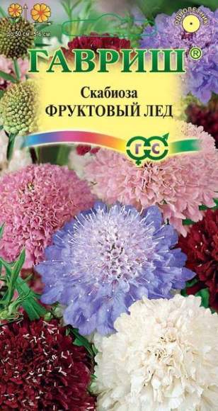 Скабиоза Фруктовый лед (гавриш) 0,2 гр Скабиоза Фруктовый лед (гавриш) 0,2 гр