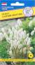 Лагурус Заячий хвостик (престиж) 10шт  – купить в г. Москва