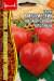 Томат Минусинский низкорослый крупный (Григорьев) 10 шт  – купить в г. Москва