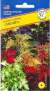 Колеус Забава смесь (престиж) 10 шт  – купить в г. Москва