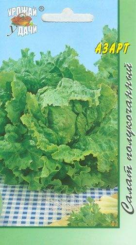 Купить Салат листовой Азарт (уу) от