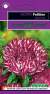 Астра Риббон красная (гавриш) 0,1гр  – купить в г. Москва