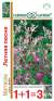 Маттиола Летняя песня (1+1=3) (гавриш) 0,6гр  – купить в г. Москва