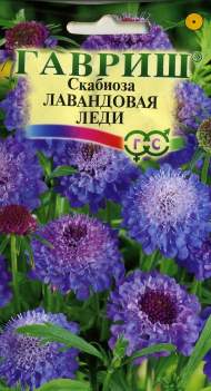 Скабиоза Лавандовая леди (гавриш) 0,2 гр Скабиоза Лавандовая леди (гавриш) 0,2 гр
