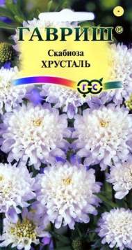 Скабиоза Хрусталь (гавриш) 0,2гр Скабиоза Хрусталь (гавриш) 0,2гр