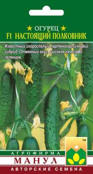 Огурец Настоящий полковник F1 (манул) 10 шт