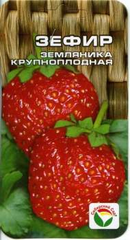 Земляника крупноплодная Зефир (сибирский сад) 10 шт