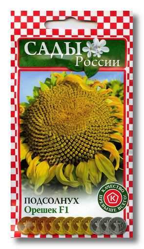 Семена Подсолнечника Купить Для Посадки Сорт Грандис