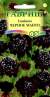 Скабиоза Черное манто (гавриш) 0,2гр  – купить в г. Москва