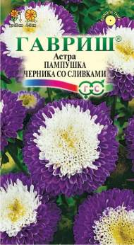 Астра Пампушка черника со сливками (гавриш) 0,3гр Астра Пампушка черника со сливками (гавриш) 0,3гр