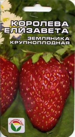 Земляника крупноплодная Королева Елизавета (сибирский сад) 10 шт Земляника крупноплодная Королева Елизавета (сибирский сад) 10 шт
