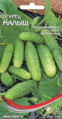 Огурец Малыш (дом семян) 10 шт – купить в г. Москва Огурец Малыш (дом семян) 10 шт – купить в г. Москва