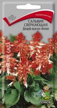 Сальвия сверкающая Дварф красно-белая (поиск) 0,1гр