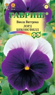 Виола Лорд Биконсфилд (гавриш) 0,05 гр Виола Лорд Биконсфилд (гавриш) 0,05 гр