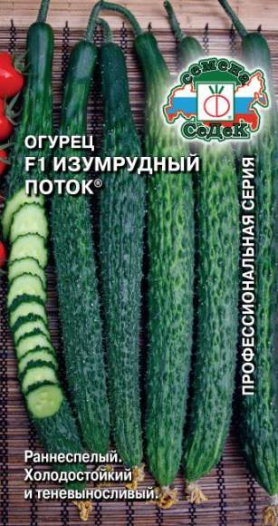 Огурец Изумрудный поток F1 (седек) 0,2 гр – купить в г. Москва Огурец Изумрудный поток F1 (седек) 0,2 гр – купить в г. Москва