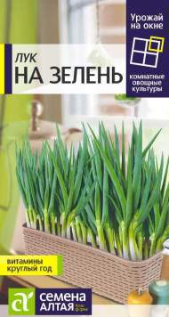 Лук на зелень (семена Алтая) 0,5 гр (урожай на окне)